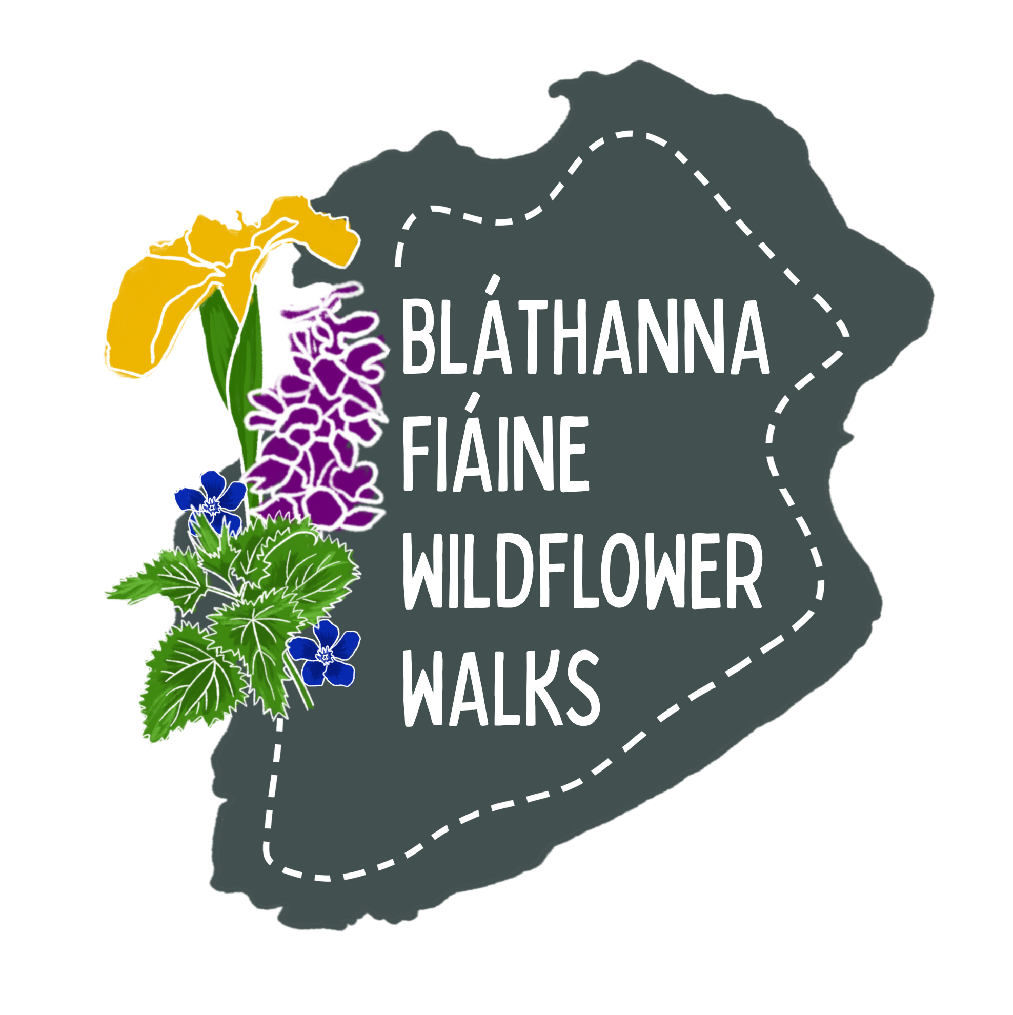 Bláthanna Fiáine Wildflower Walks